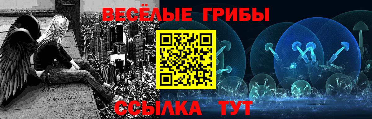 Галлюциногенные грибы Psilocybe Дзержинск